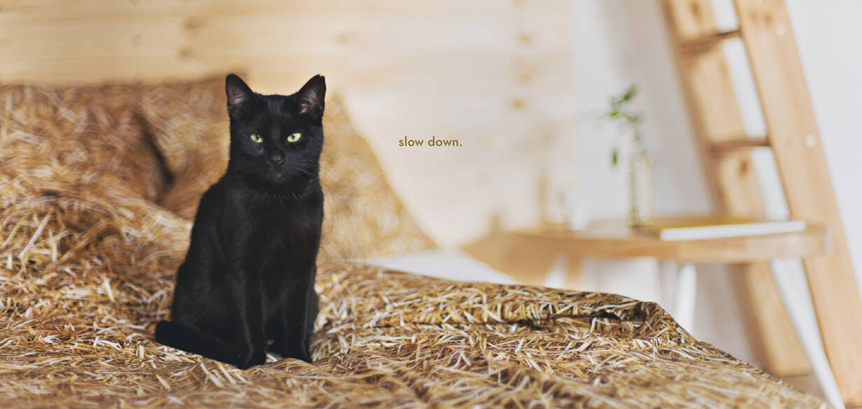 straw